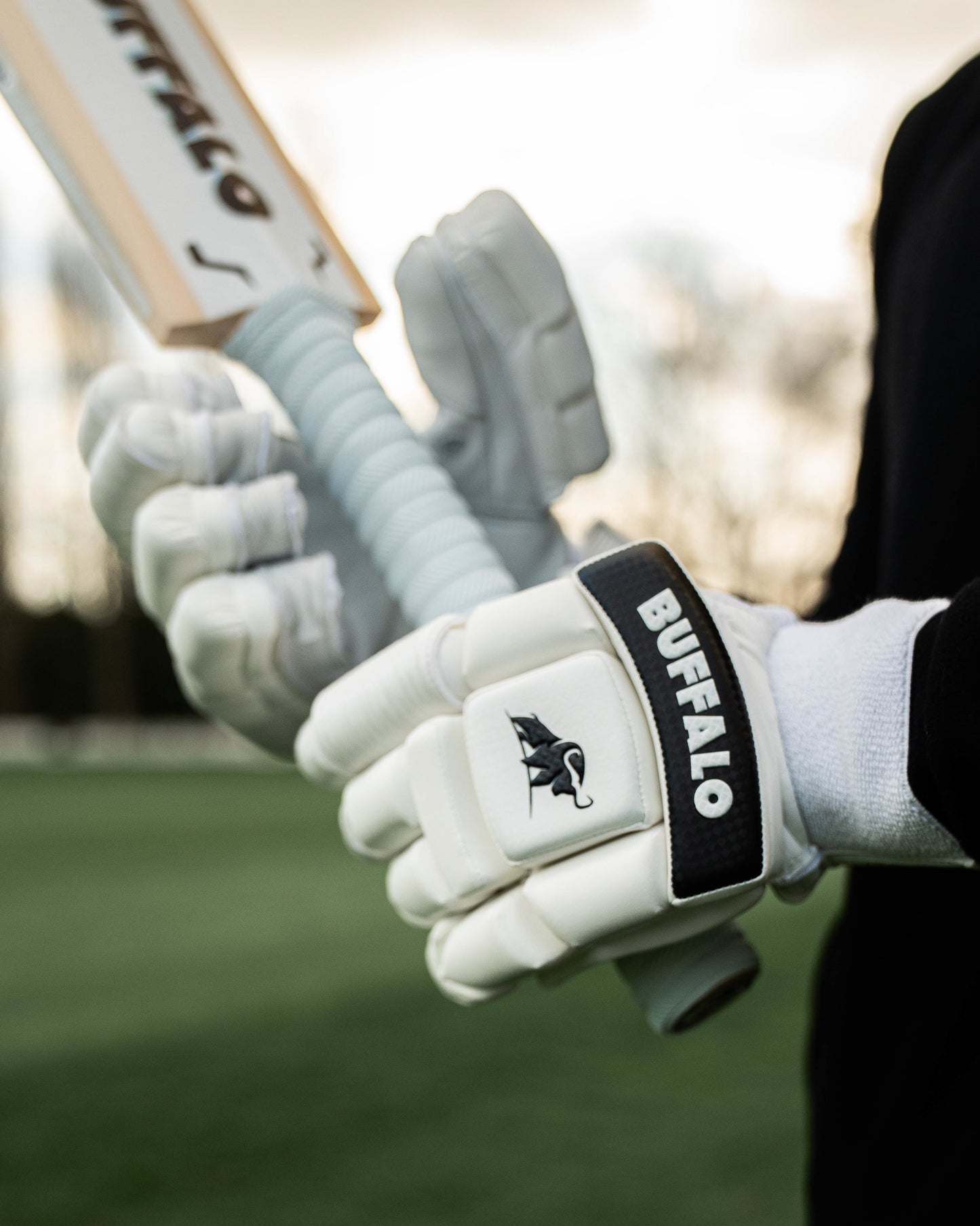 Batting gloves | Players, 2026