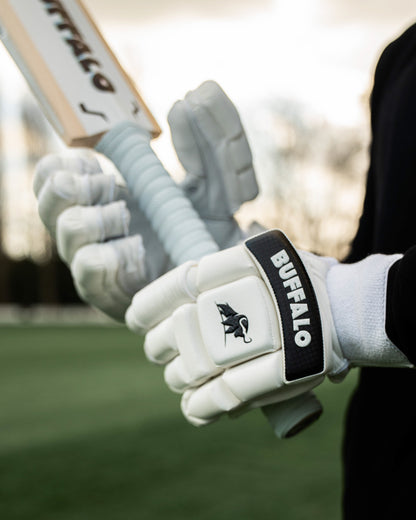 Batting gloves | Players, 2026