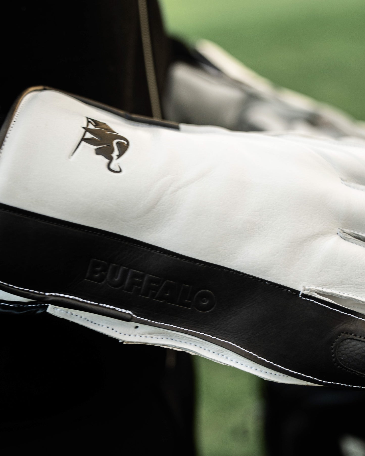 Buffalo Wicket Keeper gloves | 2026