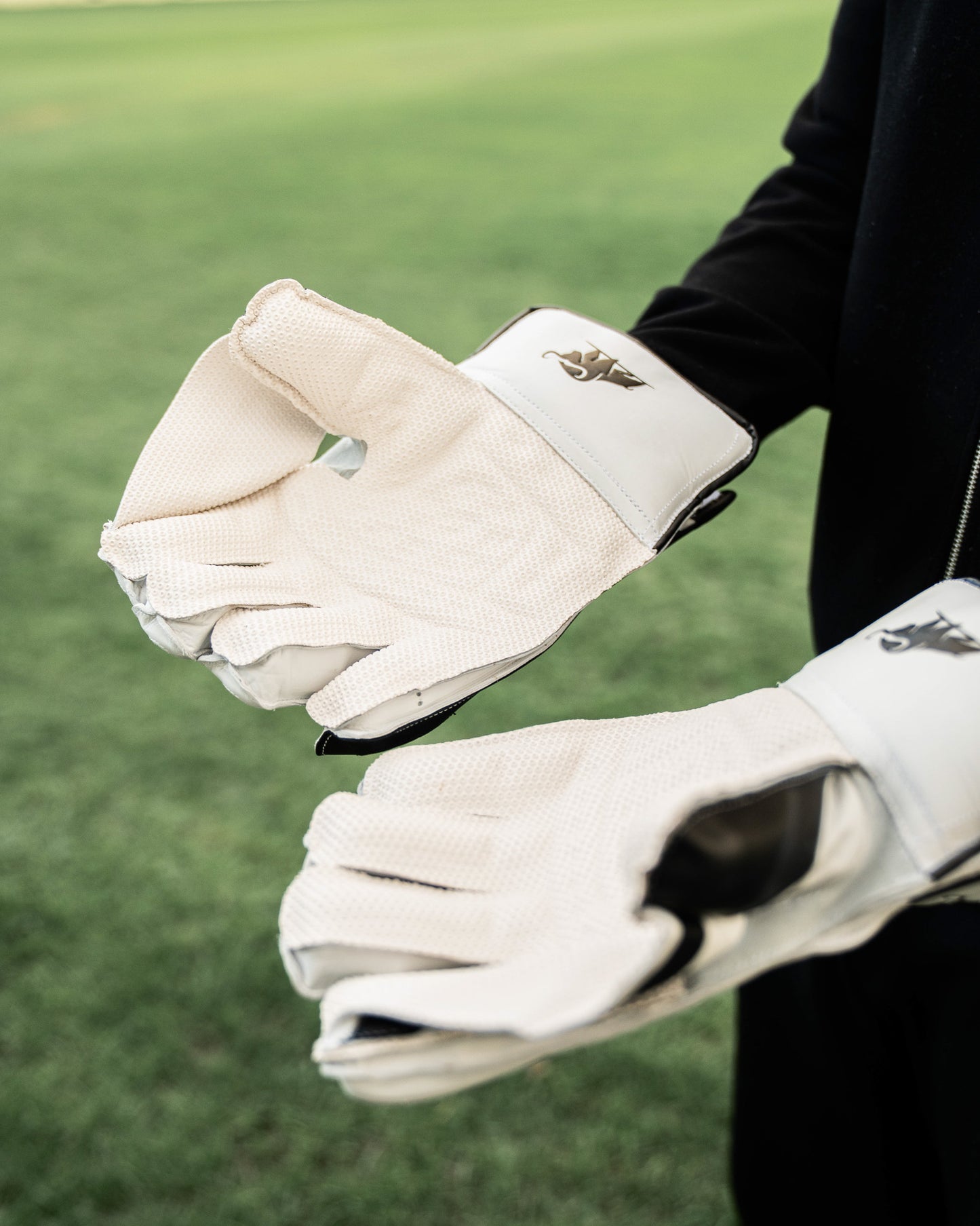 Buffalo Wicket Keeper gloves | 2026