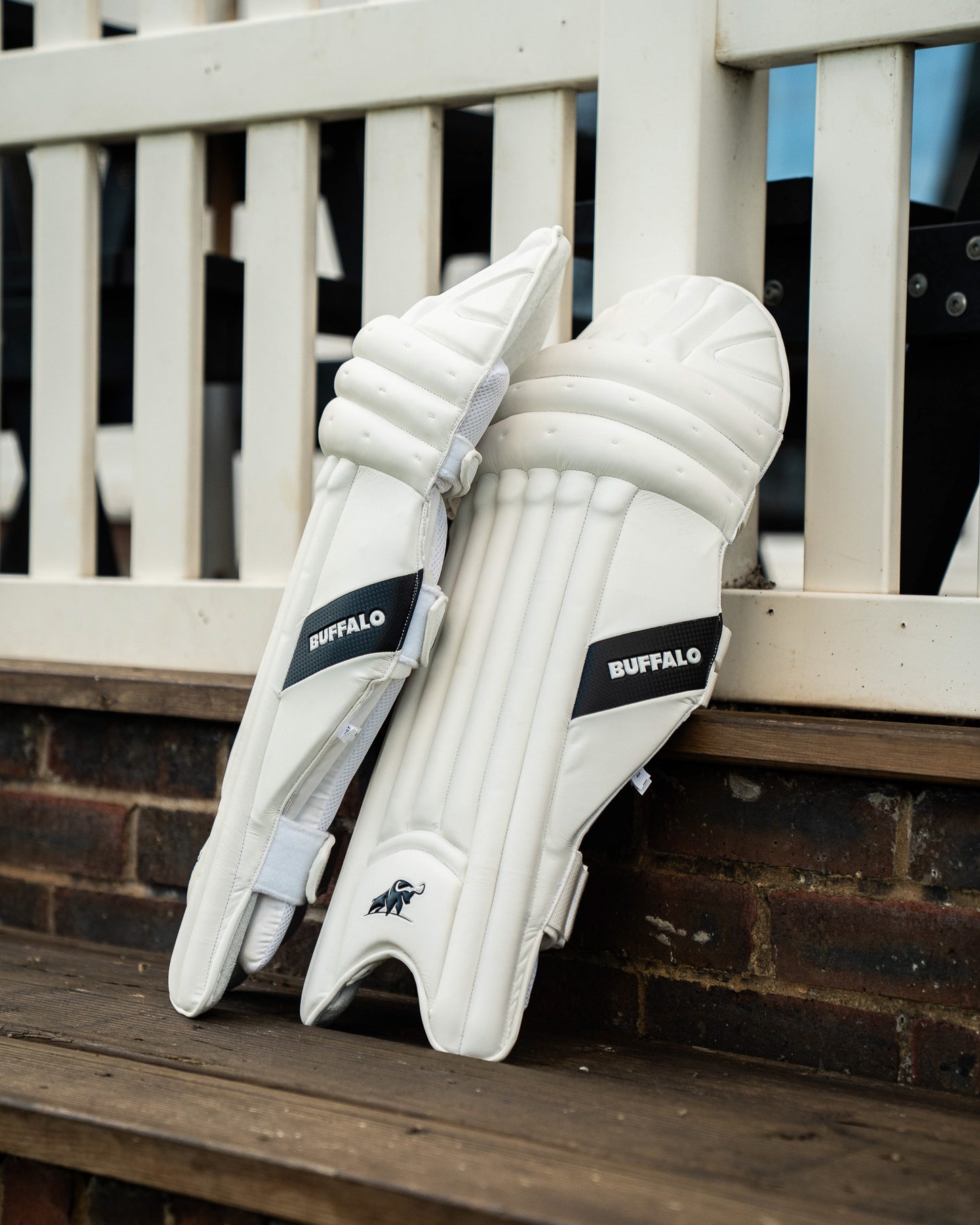 Batting pads | Players, 2026