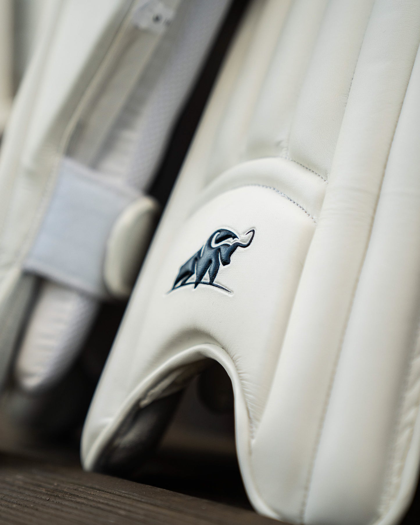 Batting pads | Players, 2026