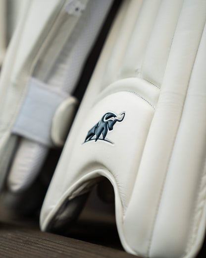 Batting pads | Players, 2026