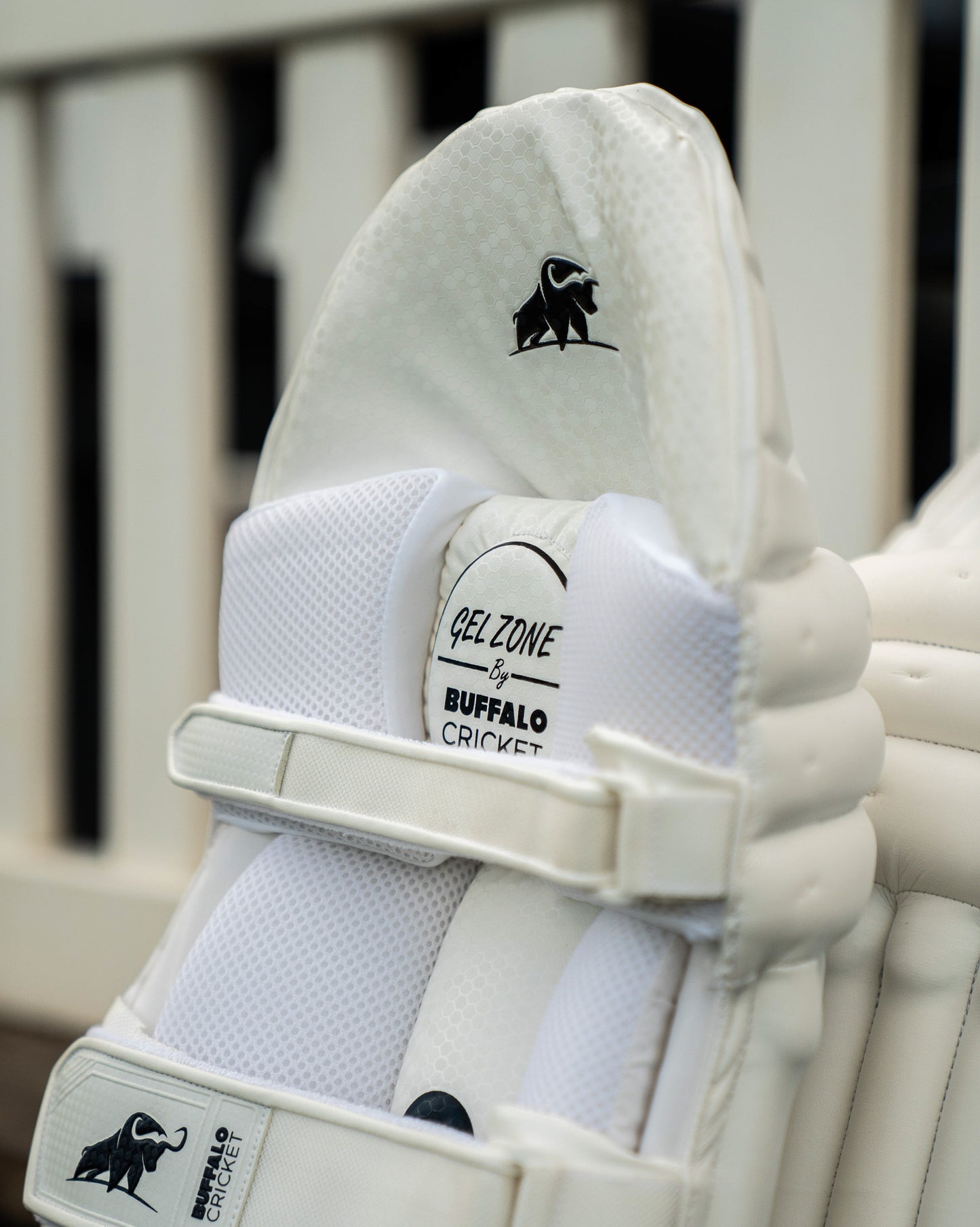 Batting pads | Players, 2026