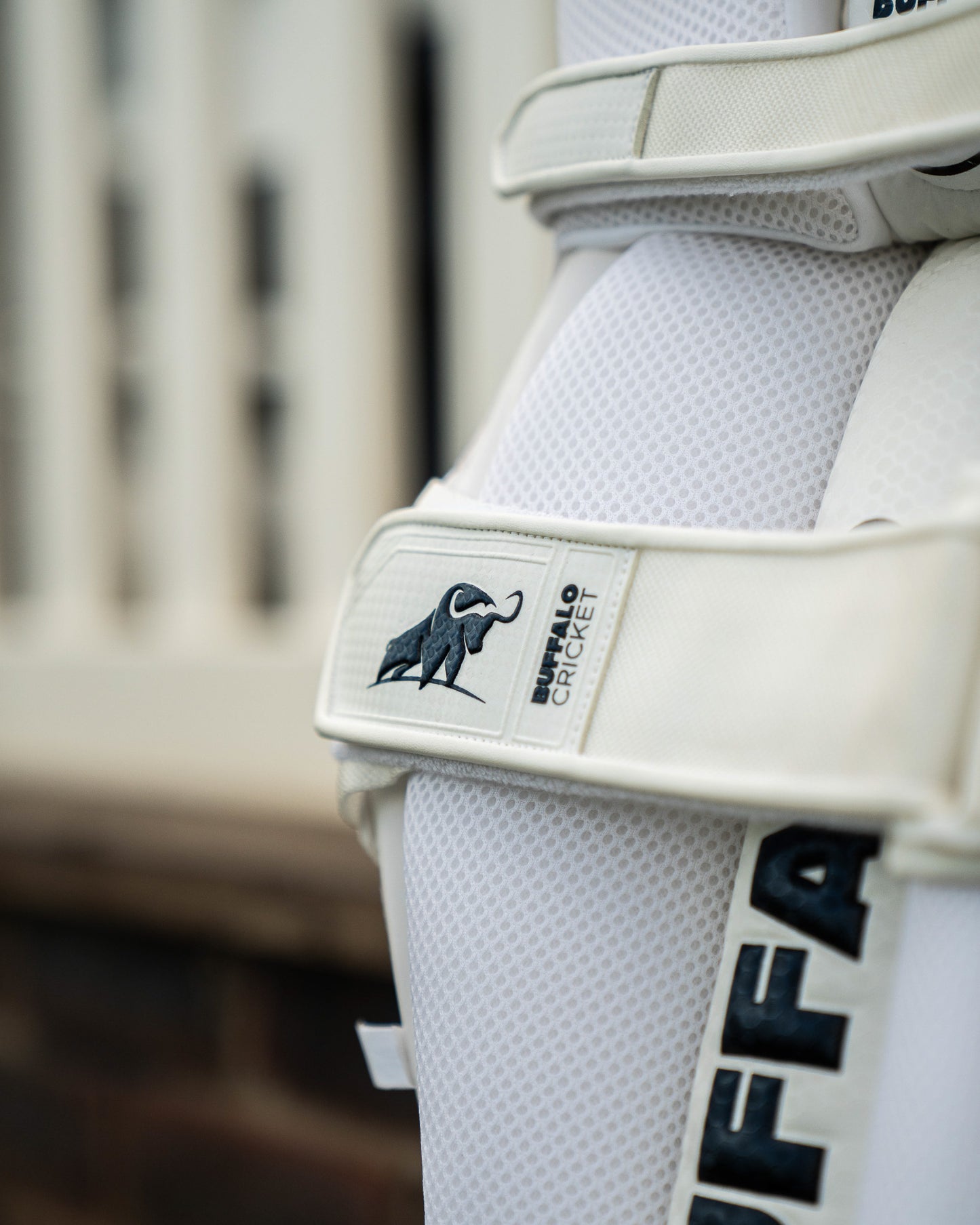 Batting pads | Players, 2026