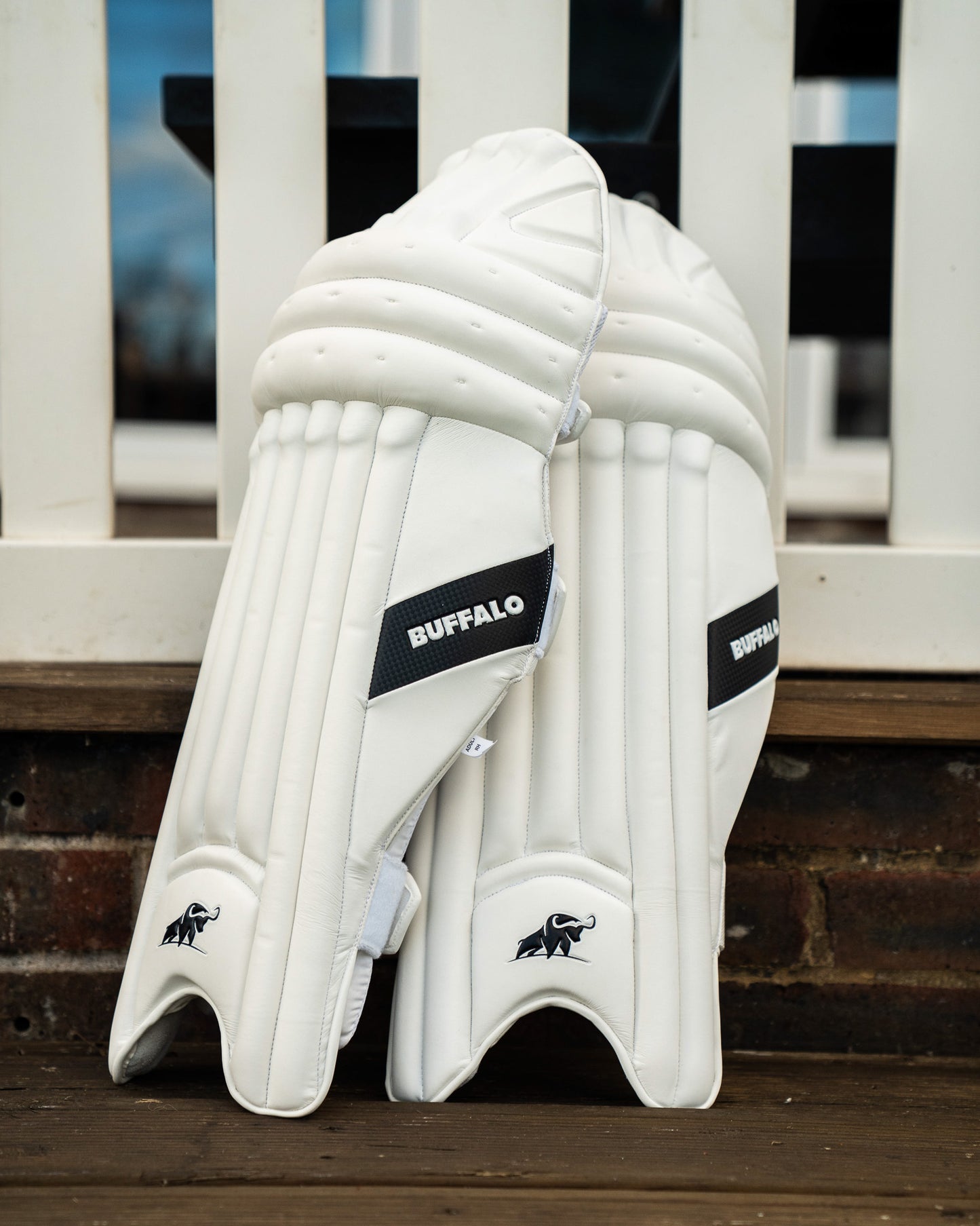 Batting pads | Players, 2026